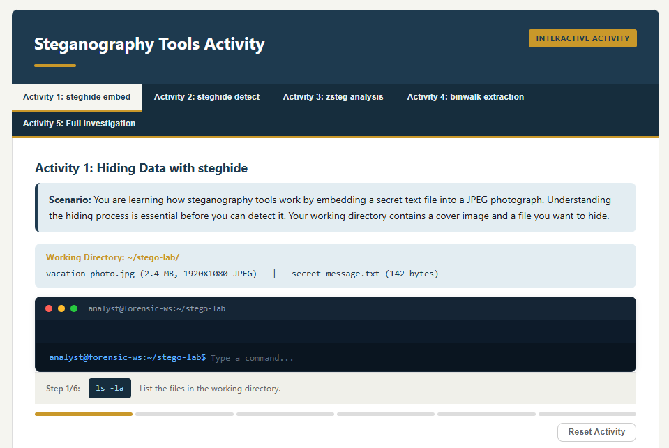 Screenshot of the Steganography Tools interactive activity showing Activity 1: Hiding Data with steghide. The interface presents a scenario for embedding a secret text file into a JPEG image, a simulated terminal for typing Linux commands, and tabs for five activities covering steghide embed, steghide detect, zsteg analysis, binwalk extraction, and a full investigation.