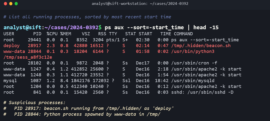 Terminal screenshot showing the command 'ps aux --sort=-start_time | head -15' run on a SIFT workstation. A green comment reads '# List all running processes, sorted by most recent start time.' The output displays a process table with columns: USER, PID, %CPU, %MEM, VSZ, RSS, TTY, STAT, START, TIME, and COMMAND. Two suspicious processes are highlighted in red: PID 28917 running as user 'deploy' at 2.3% CPU, started at 02:14, command '/tmp/.hidden/beacon.sh'; and PID 28844 running as user 'www-data' at 0.4% CPU, started at 01:58, command '/usr/bin/python3 /tmp/sess_a8f3c12e.' Other processes shown include cron (root, PID 28102), two apache2 workers (www-data), mysqld (mysql, PID 1087), apache2 main (root, PID 1204), and sshd (root, PID 841). Green comments note: 'Suspicious processes: PID 28917: beacon.sh running from /tmp/.hidden/ as deploy' and 'PID 28844: Python process spawned by www-data in /tmp/.'