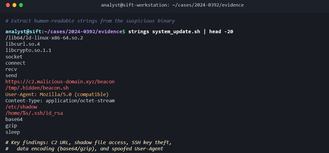 Terminal screenshot showing the command 'strings system_update.sh | head -20' run in the ~/cases/2024-0392/evidence directory. A green comment reads '# Extract human-readable strings from the suspicious binary.' The output lists extracted strings including system libraries ('/lib64/ld-linux-x86-64.so.2,' 'libcurl.so.4,' 'libcrypto.so.1.1'), network functions ('socket,' 'connect,' 'recv,' 'send'), a C2 URL highlighted in green ('https://c2.malicious-domain.xyz/beacon'), the file path in green ('/tmp/.hidden/beacon.sh'), a spoofed User-Agent ('Mozilla/5.0 (compatible)'), a content type ('application/octet-stream'), sensitive file paths highlighted in red ('/etc/shadow' and '/home/%s/.ssh/id_rsa'), and data encoding tools ('base64,' 'gzip,' 'sleep'). Green comments summarize: 'Key findings: C2 URL, shadow file access, SSH key theft, data encoding (base64/gzip), and spoofed User-Agent.'