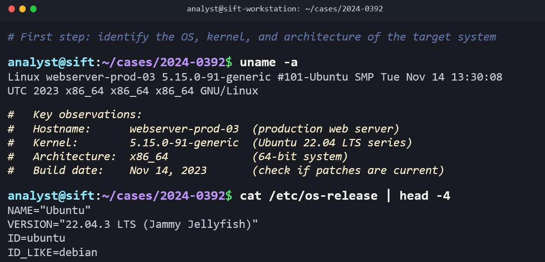 Terminal screenshot showing two commands for system identification on a SIFT workstation. A green comment reads # First step: identify the OS, kernel, and architecture of the target system. First command: uname -a returns Linux webserver-prod-03 5.15.0-91-generic #101-Ubuntu SMP Tue Nov 14 13:30:08 UTC 2023 x86_64 x86_64 x86_64 GNU/Linux. Green comments annotate key observations: Hostname: webserver-prod-03 (production web server), Kernel: 5.15.0-91-generic (Ubuntu 22.04 LTS series), Architecture: x86_64 (64-bit system), and Build date: Nov 14, 2023 (check if patches are current). Second command: cat /etc/os-release | head -4 returns NAME="Ubuntu", VERSION="22.04.3 LTS (Jammy Jellyfish)", ID=ubuntu, and ID_LIKE=debian.