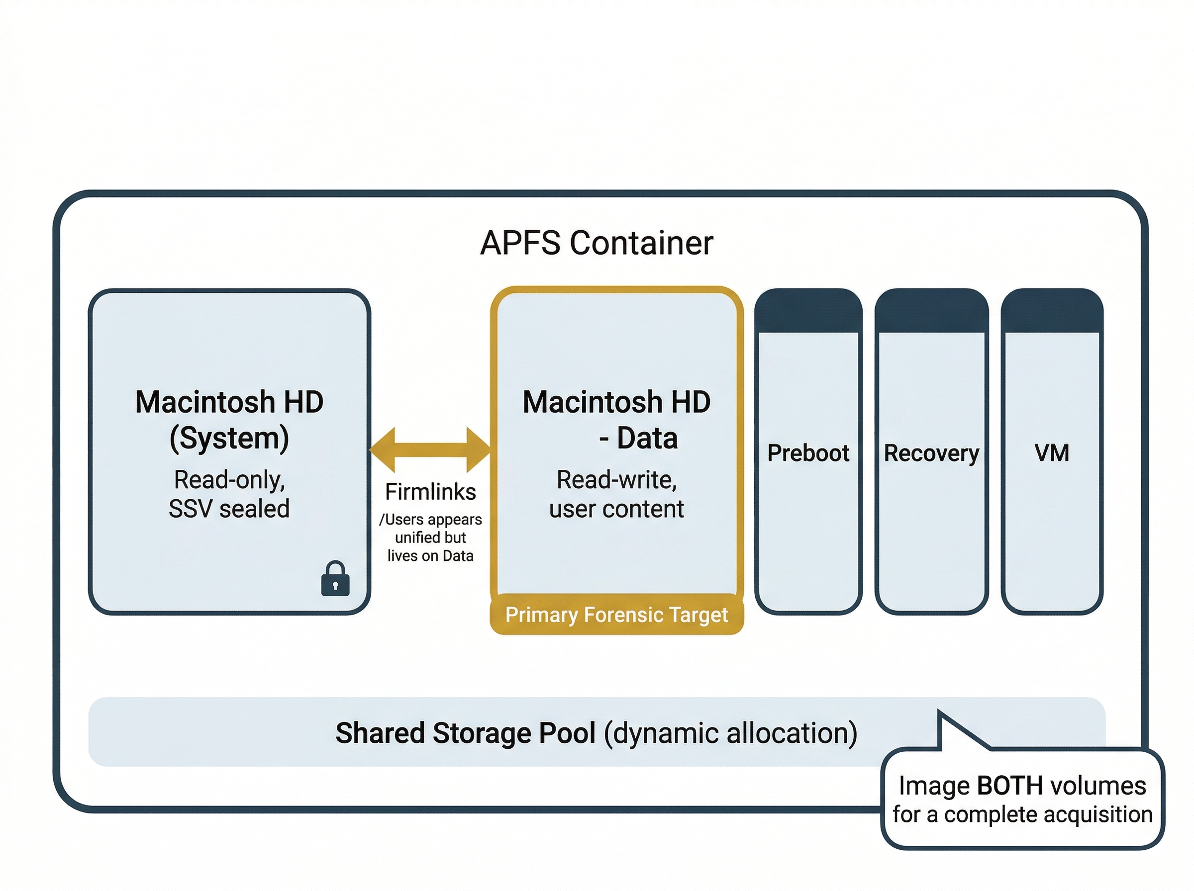 Architecture diagram labeled 'APFS Container' showing five volumes inside a large outer rounded rectangle. On the left, 'Macintosh HD (System)' is described as 'Read-only, SSV sealed' with a lock icon. To its right, 'Macintosh HD - Data' is highlighted with a gold border, described as 'Read-write, user content' with a gold label below reading 'Primary Forensic Target.' A bidirectional gold arrow between the two volumes is labeled 'Firmlinks' with a note '/Users appears unified but lives on Data.' Three smaller volumes appear to the right: 'Preboot,' 'Recovery,' and 'VM.' Below all volumes, a shared horizontal bar reads 'Shared Storage Pool (dynamic allocation).' A callout in the bottom-right reads 'Image BOTH volumes for a complete acquisition.'