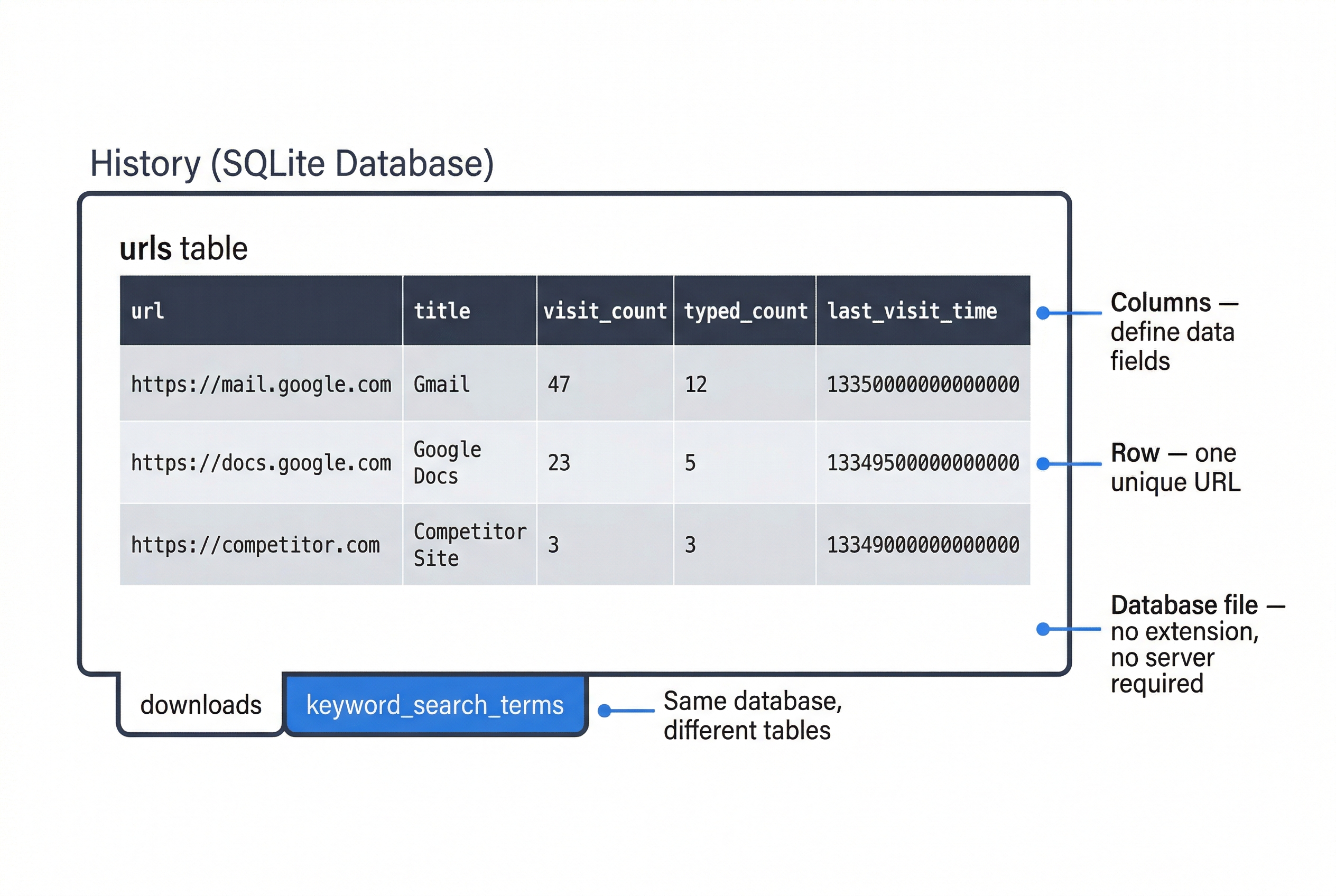 Concept explainer diagram showing the structure of a Chrome History SQLite database. A large outer container is labeled 'History (SQLite Database).' Inside, a section labeled 'urls table' contains a data table with five columns: url, title, visit_count, typed_count, and last_visit_time. The header row has a dark slate background. Three data rows show sample entries: 'https://mail.google.com' titled 'Gmail' with visit_count 47, typed_count 12, and last_visit_time 13350000000000000; 'https://docs.google.com' titled 'Google Docs' with visit_count 23, typed_count 5; and 'https://competitor.com' titled 'Competitor Site' with visit_count 3, typed_count 3. Blue annotation lines point to three callouts on the right: 'Columns — define data fields' pointing to the header row, 'Row — one unique URL' pointing to a data row, and 'Database file — no extension, no server required' pointing to the outer container. Below the table, two small tab labels read 'downloads' and 'keyword_search_terms' with an annotation 'Same database, different tables.'