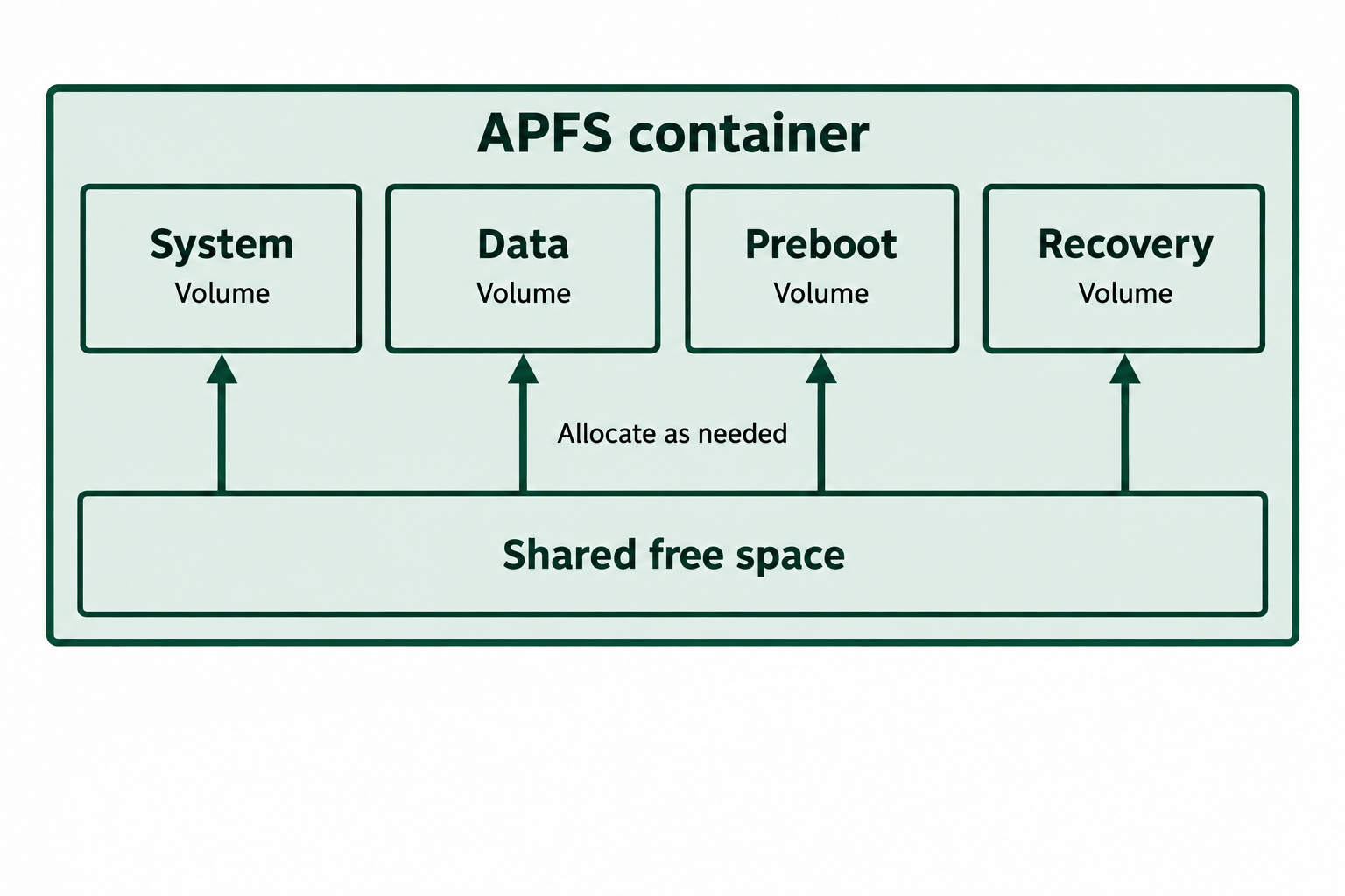 System, Data, Preboot, and Recovery volumes belong to one APFS container and allocate space from its shared free-space pool.