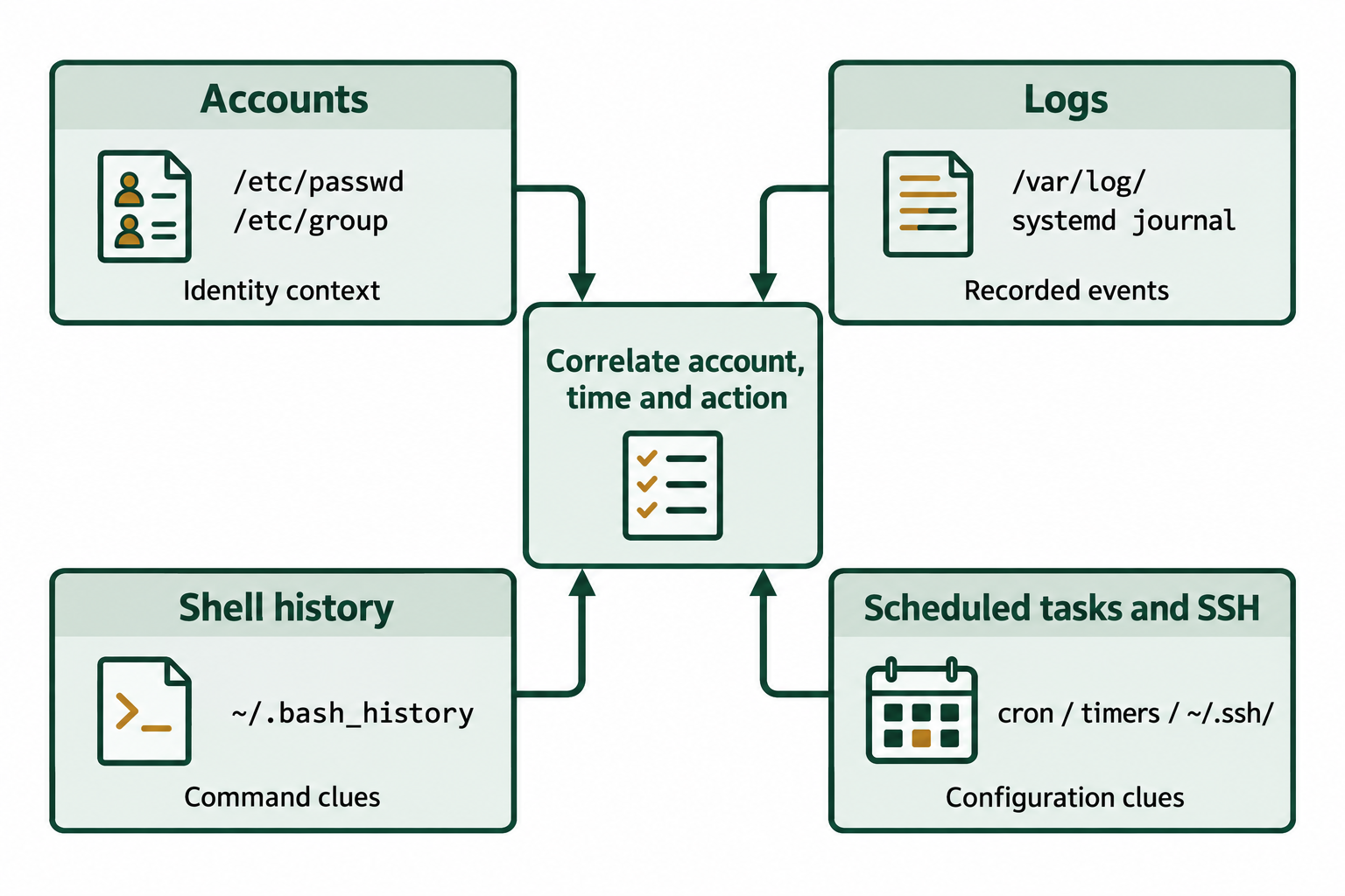 Account records, system logs, shell histories, scheduled tasks, and SSH artifacts contribute different evidence about an account, time, and action.
