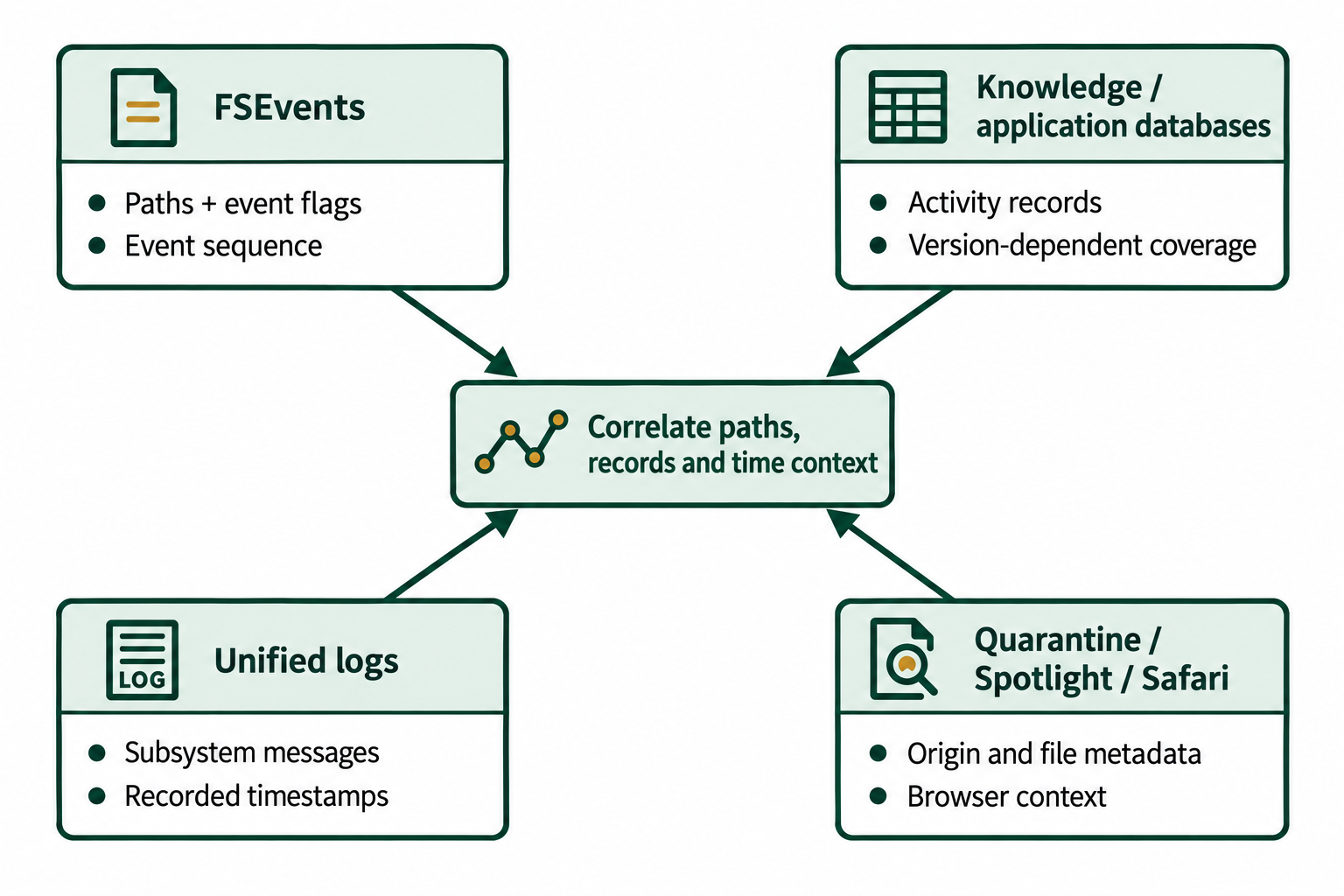 FSEvents supplies paths, flags, and event sequence. Activity databases, unified logs, and file or browser metadata supply other context that analysts correlate.