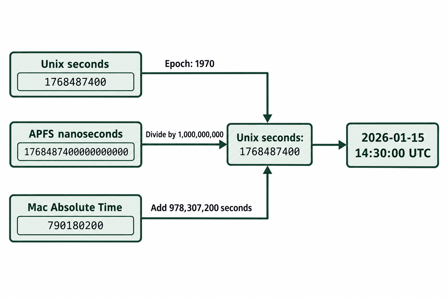 Unix seconds 1768487400, APFS nanoseconds 1768487400000000000, and Mac Absolute Time 790180200 all convert to January 15, 2026 at 14:30 UTC.