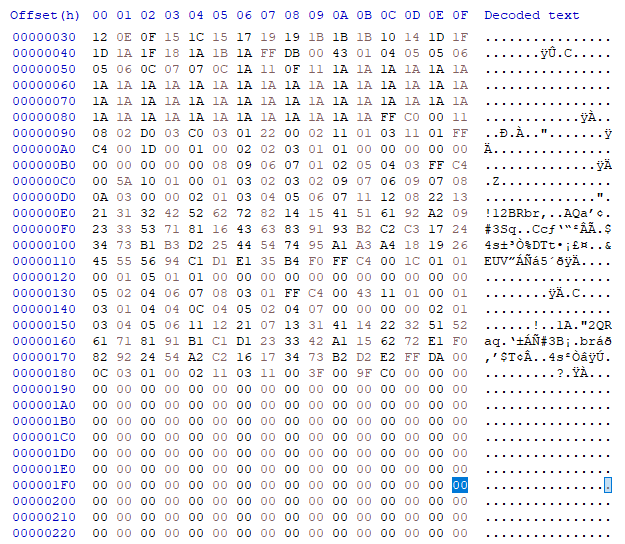 HxD hex editor screenshot showing file offsets in hexadecimal (left column starting at 0x00000030), raw hex bytes in the center, and ASCII representation on the right. Offset 0x000001FF is highlighted in blue, marking the end of the first 512-byte sector before the 0x00000200 boundary